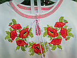 Українська вишиванка для дівчинки "Червоні маки" з коротким рукавом на зріст 80-140 см, фото 5