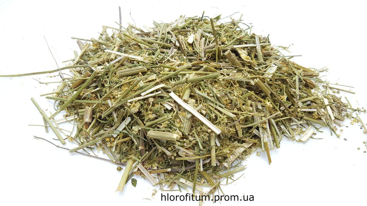 Буркун лікарської трави 50 грамів(Доннік)