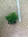 Штучні рослини 380072 (7-9 см), фото 2