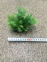 Штучні рослини 380082 (10-12 см)