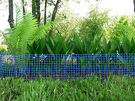 Декоративні сітки