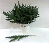 Гілка ялини (№10) ,30см., фото 2