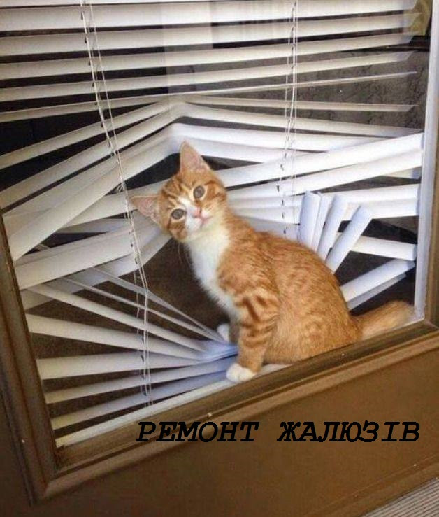 Ремонт усіх різновидів жалюзі