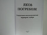 Яков Погребеняк. єрархонально-психологічний портрет лідера., фото 5