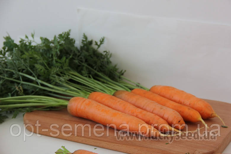 Морква LS 0316 F1 1 кг.