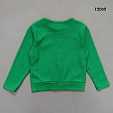 Кофта для дівчинки. Маломірна. 98 см, фото 3