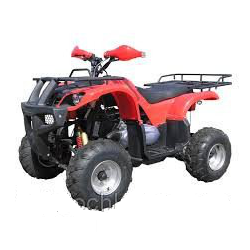 Квадроцикл SkyMoto LEOPARD 150 ATV - фото 1 - id-p593611274