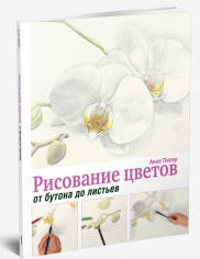 

Рисование цветов от бутона до листьев. Анне Пипер.