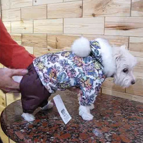 Костюм Pet Fashion Герда XXS (18-22 см) для собак 