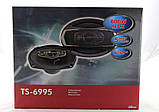 Автомобільна акустика колонки овали TS-6995 600W, фото 4