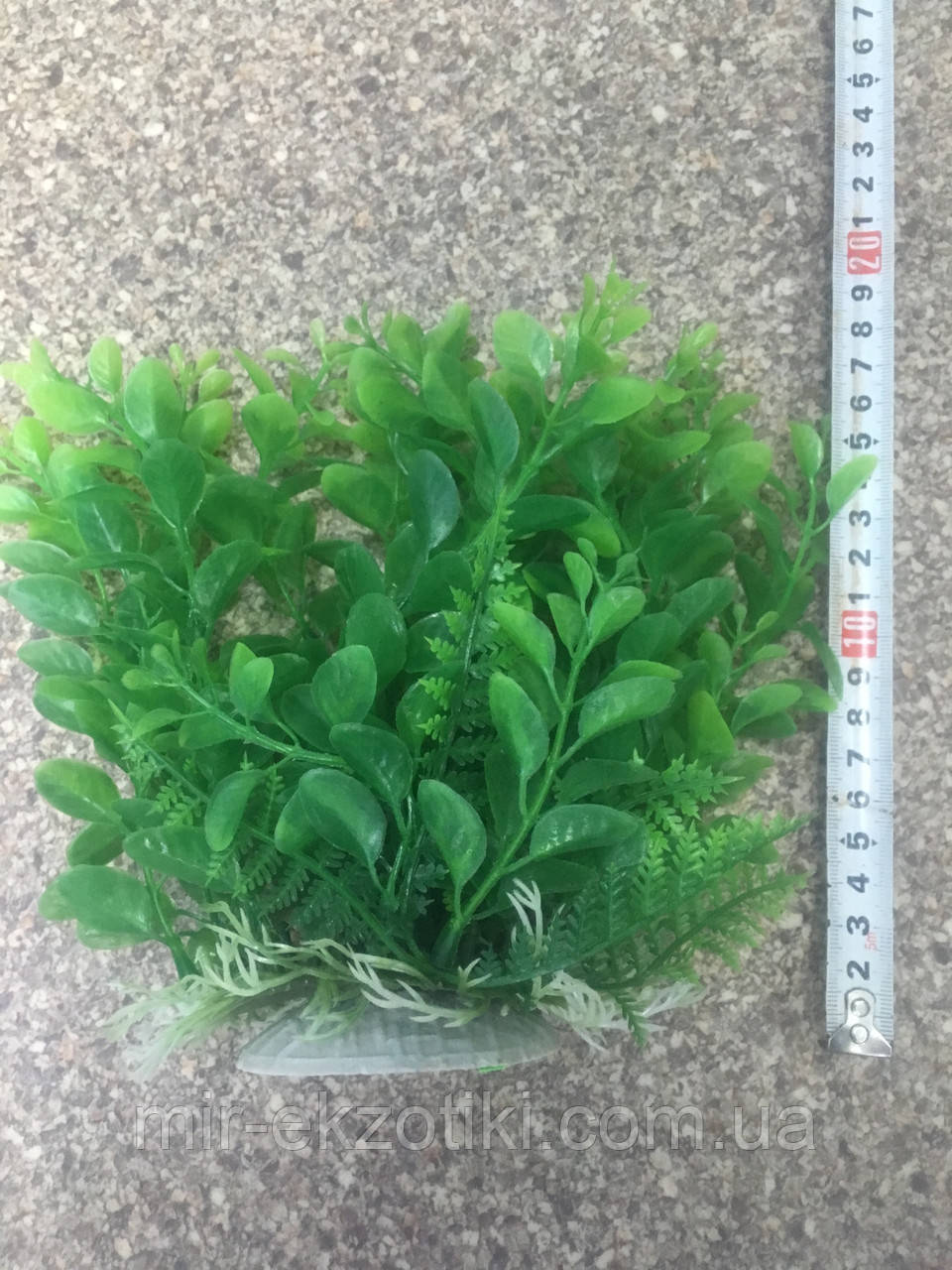 Штучні рослини 097202 (15-20 см)