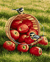 Картина розмальовка Синички і яблука худ. Розмарі Миллетт (KH2469) Ідейка 40 х 50 см