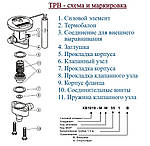 Силовий елемент R-22 МОР -15, XB 1019 HW35-1B (803035), до ТРВ Alco controls, фото 3