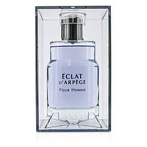 Lanvin Eclat d'arpege Pour Homme туалетна вода 100 ml. (Ланвін Екла Д Арпеж Пур Хом), фото 2