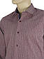 Чоловіча сорочка Negredo 3000-S#14 у смужку, фото 2