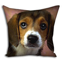 Подушка з принтом габардинова Бігль 40x40 (4P_PW098)