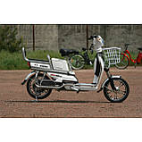 Електровелосипед Skybike Sigma, фото 3