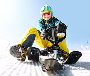 Санки і натросанки