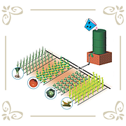 Крапельний полив