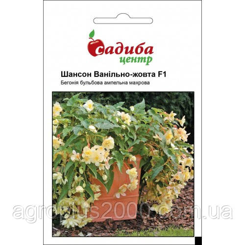 Насіння Бегонія ампельна махрова Шансон F1 Ванільно-жовта 10 насінин Cerny
