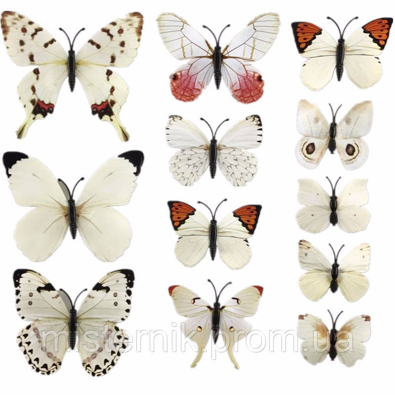 Бабочки для декора 3D, для дома, DIY - фото 1 - id-p595168570