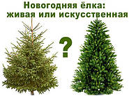 Жива ялинка чи штучна ялина?