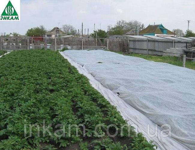 Агроволокно Greentex біле 30 г/м2 15,8 х 100 м