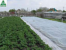 Агроволокно біле покривне Greentex 30 г/м2 4,2 х 100 м, фото 3