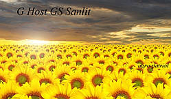 Насіння соняшника GS SUNLIT (Санліт)