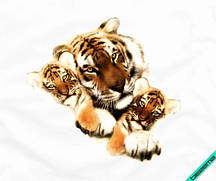 Термоперевод на накидки Тигри [Свій розмір і матеріали в асортименті]