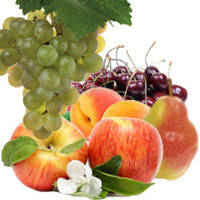 Засоби для обробки саду від шкідників