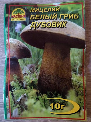 Міцелій гриба Білий гриб, Дубовик, 10 гр (зерно), фото 2