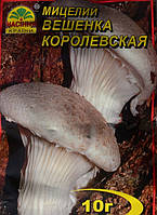 Мицелий гриба Вешенка Королевская, 10 г