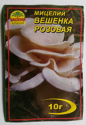 Міцелій гриба Глива рожева, 10 м, фото 2