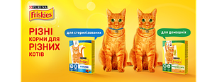 Friskies корм для кішок і кошенят. Угорщина