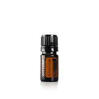 ARBORVITAE ESSENTIAL OIL / Туя (Thuja plicata), ефірну олію, 5 мл