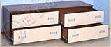 Тумба ТВ з висувними шухлядами No1 (Континент) 2000х500х550 мм, фото 3