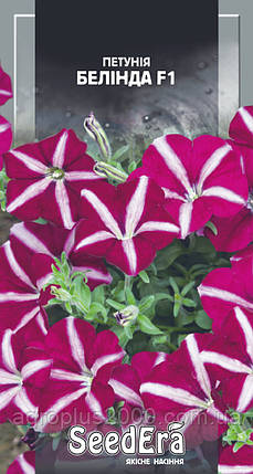 Насіння Петунія багатоквіткова Белінда F1, 10 насінин Černý SeedEra, фото 1