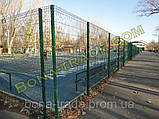 Панельні заборні сітки для дачі, фото 2