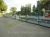 Панельні заборні сітки для дачі, фото 3