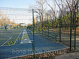 Панельні заборні сітки для дачі, фото 6