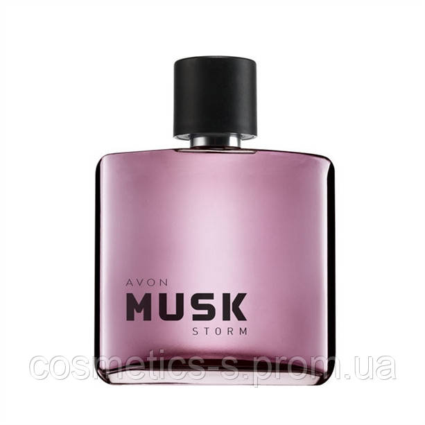 Туалетна вода чоловіча Musk Storm, Avon, Муска Сторм Ейвон, 92070, 75 мл