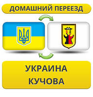 Домашній переїзд із України в Кучова