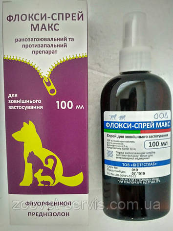 ФЛОКСІ-СПРЕЙ МАКС, фото 2