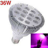 Фитолампы Led Full 36W E27