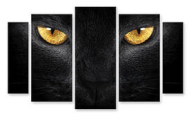 Модульна картина очі кішки
