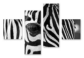 Модульна картина очей зебри