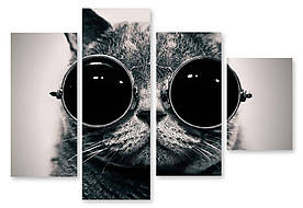 Модульна картина кіт в окулярах