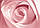 Жіноча туалетна вода Armand Basi Rose Glacee 30ml, фото 3