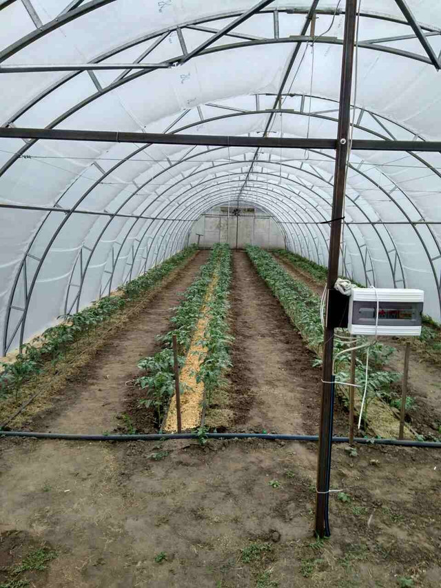 фермерские теплицы полтава фермерские теплицы полтава